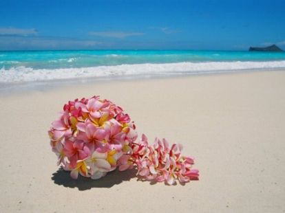 Доставка цветов - 3000฿ - Ref: 7902 фото 1