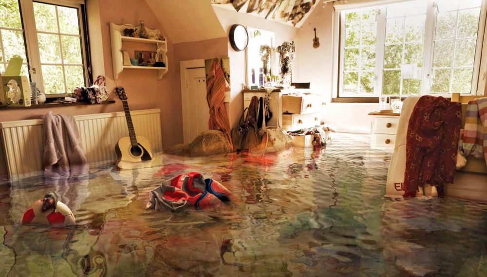 Cleaning after the flood: apartments and houses - Ref: 8849 photo 1