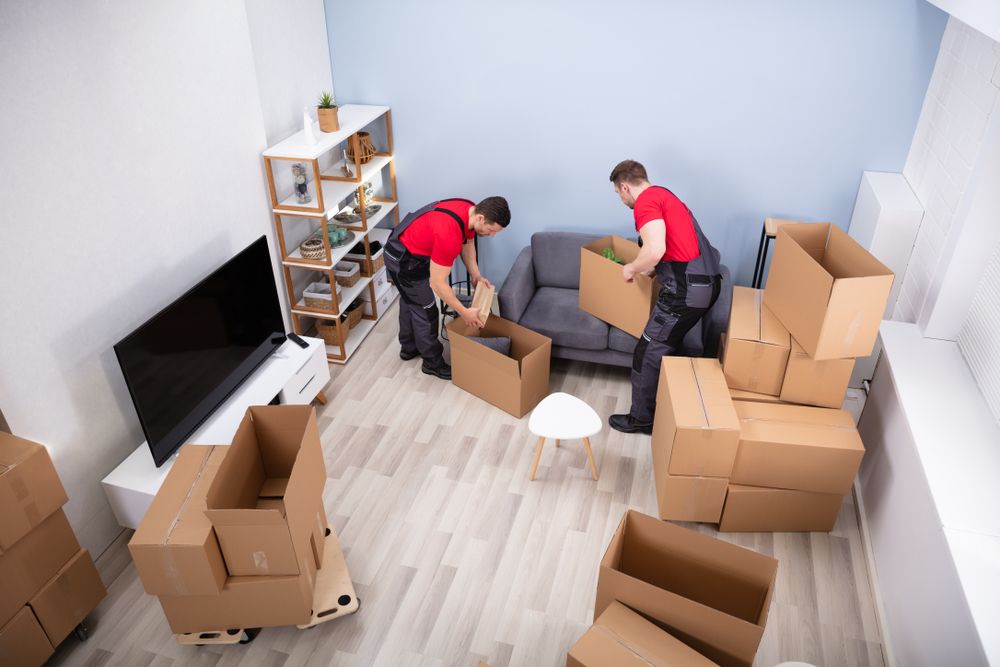 Flat Removals - Ref: 10316 photo 1
