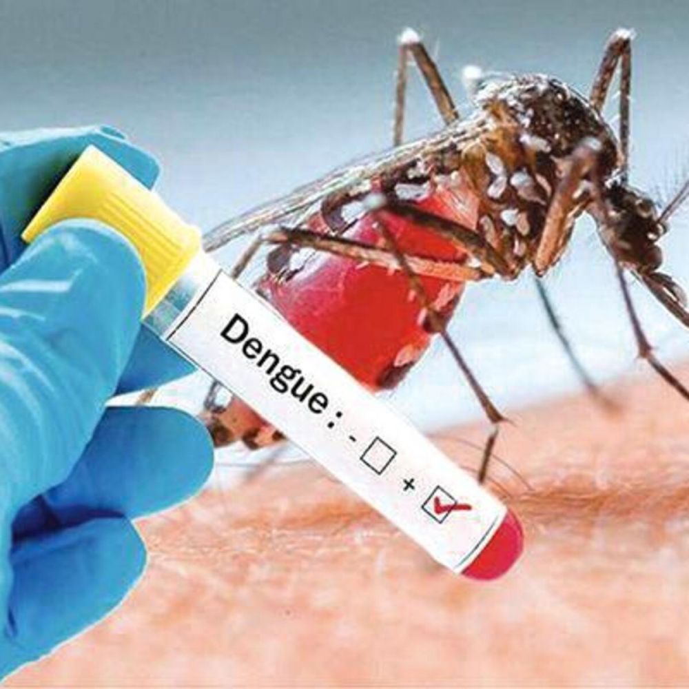 Капельница при лихорадке денге - Ref: 11963 фото 1