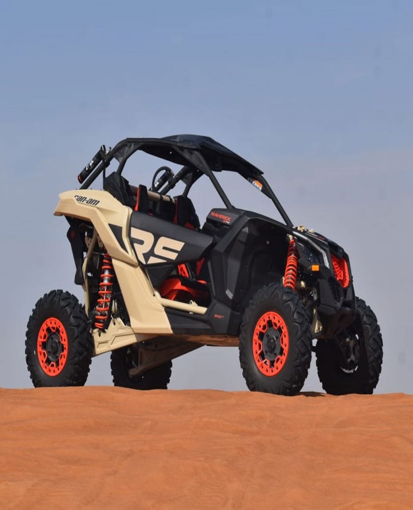 SINGLE BUGGY POLARIS RZR 1000CC - 301€ - Ref: 799 photo 4