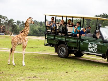 Зоопарк - Ref: 977 фото 1